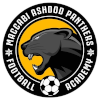 Maccabi Panthers Ashdod